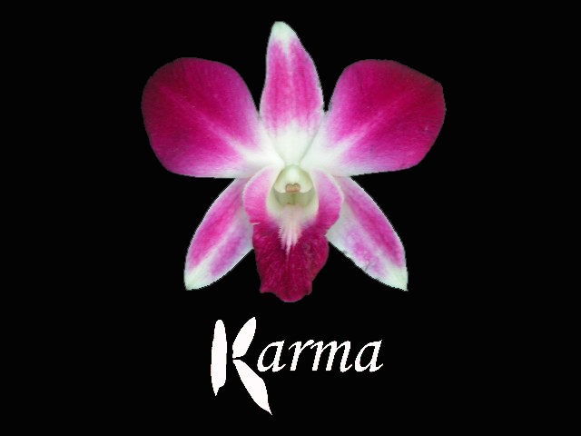 karma, les vies antérieures
